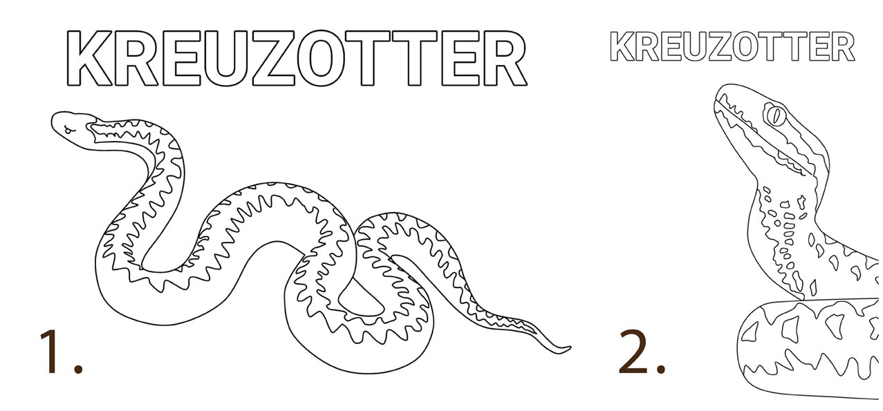 Malvorlagen Kreuzotter Vorschau